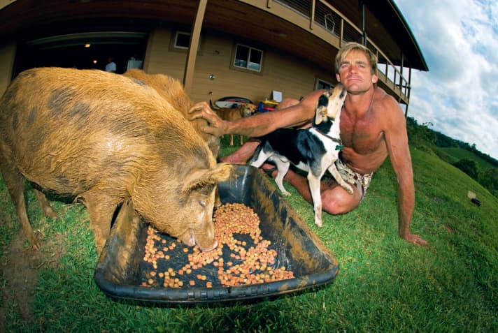 Laird Hamilton hält zahme Wildschweine auf seinem Gut auf Kauai, Hawaii.