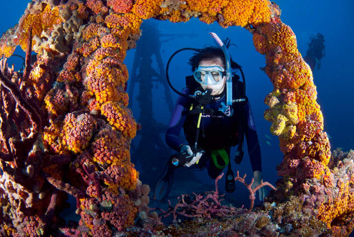 Example of a successfully created artificial reef: a decommissioned Coast Guard ship sunk off Florida