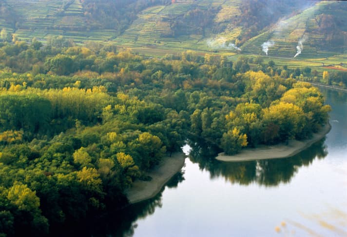 Vor allem im Herbst und im Frühling während der Aprikosenblüte lohnt sich die Reise in die Wachau.