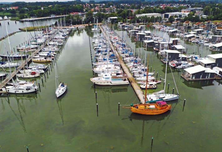 Voile Lauterbach