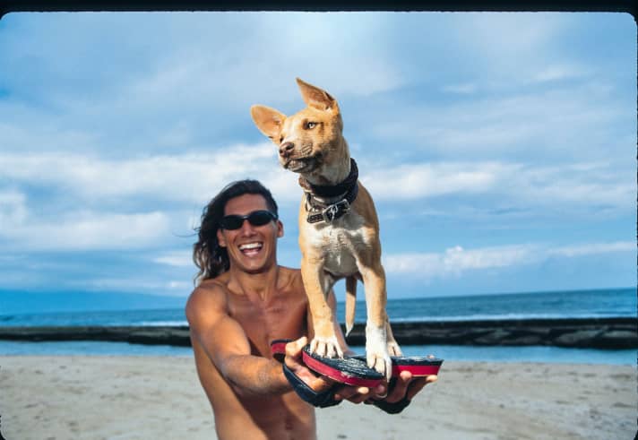 surf/13_04e61dd6d41e7d9980f778ca5bea8c65