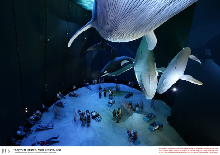   Lebensgroße Nachbildungen von Walen im Ozeaneum Stralsund.