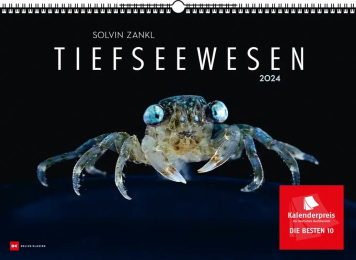 surf/tiefseewesen-24-cover_2decd6972be96e3c9a239b78f304c7fa