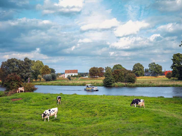   Water sports area in danger: Hamburg's Dove-Elbe