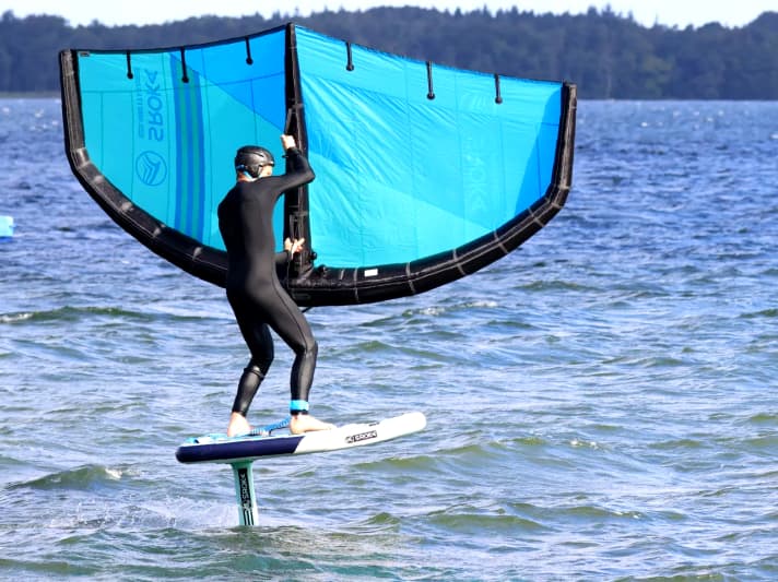 The Sroka V3 Wing has to do without a window