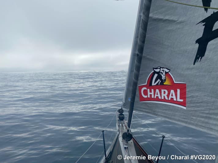  Hatte kurz vor der Jahreswende bereits Neuseeland in dessen Süden passiert: Jérémie Beyous schnelle "Charal"