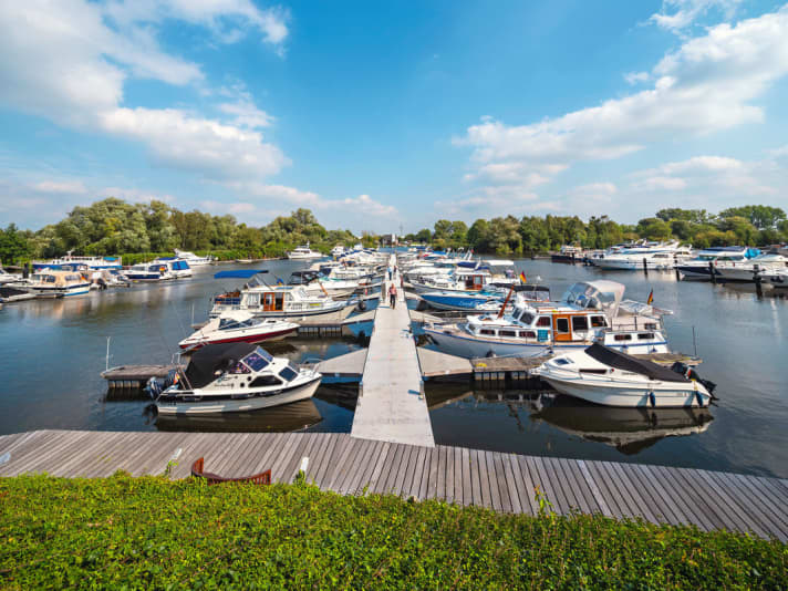   Wassersportrevier in Gefahr: Hamburgs Dove-Elbe