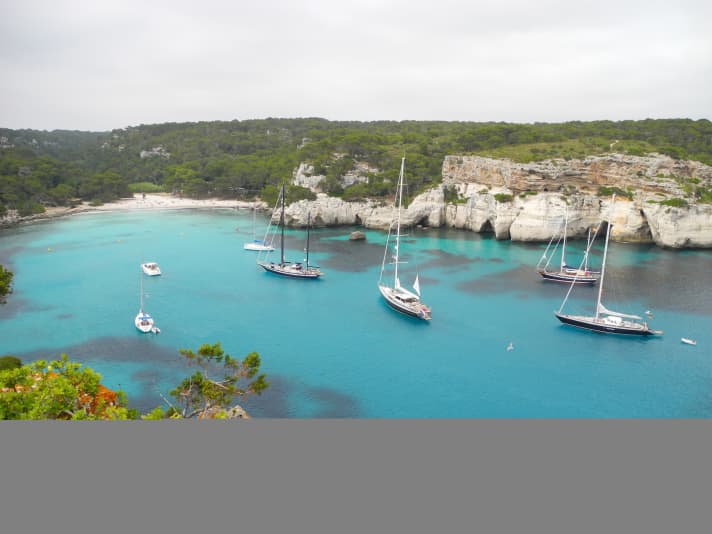 Dahm International Regatta | ta