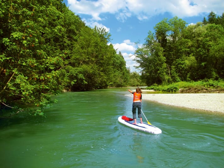 Almost in Zurich and yet a jungle-like nature experience - on the beautiful lower Reuss.