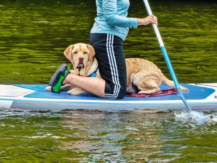 sup/M3750502_0d4aeb9a6fb6875ebd1f905047ed297b