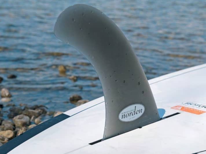 North Dolphin Fin