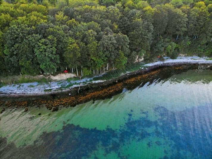 Luxury terrace under beech trees.