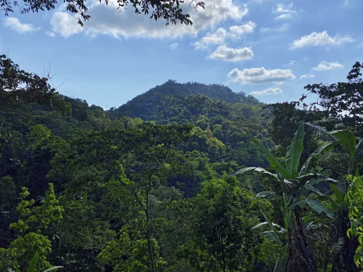 Die sanfte Bergwelt der Sierra Nevada bietet mit sattgrünen Farben ein beruhigendes Kontrastprogramm zum wilden Großstadtleben in Barranquilla.