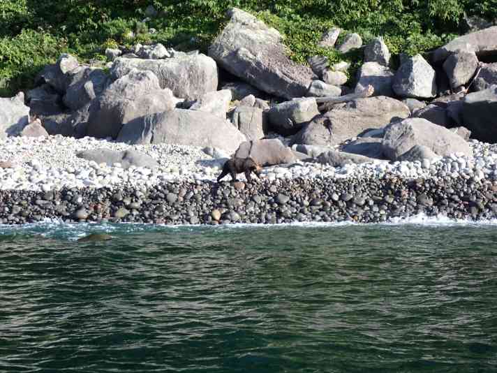 Würdest du dein Nachtlager mit diesem Local teilen?
