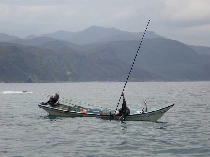 Fishermen on the hunt for abalone