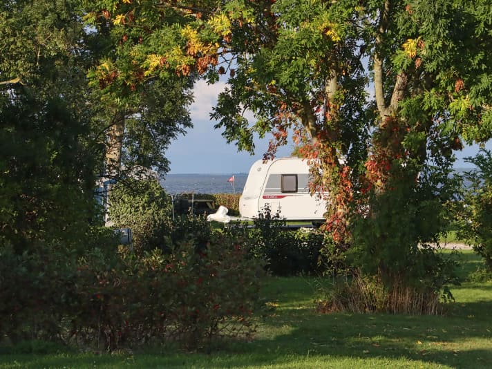 Auf Møn gibt‘s auch diverse Campingplätze, teilweise sogar direkt am Spot – wie hier in Moenbroen.
