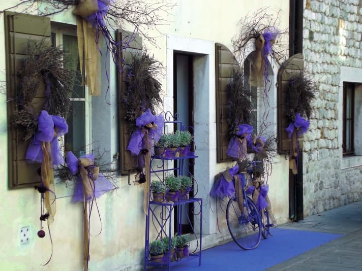   Everything in lavender