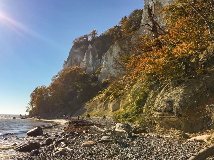 Eine Wanderung entlang der 130 Meter hohen Kreidefelsen Møns Klint ist zu jeder Jahreszeit ein Erlebnis. Auch mit dem SUP kann man die Klippen umrunden.