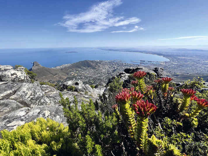 No one can escape the beauty and diversity of the Cape region.