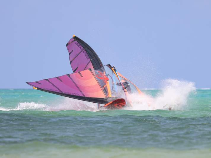 Echte Profis bei der Arbeit.
