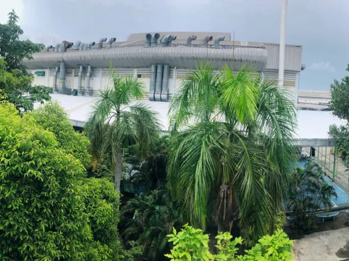 Die Cobra-Fabrik in Thailand stellt den Großteil der weltweit verkauften Boards her