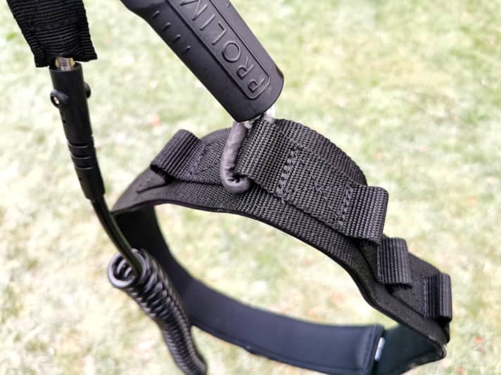Waist belt with coiled leash