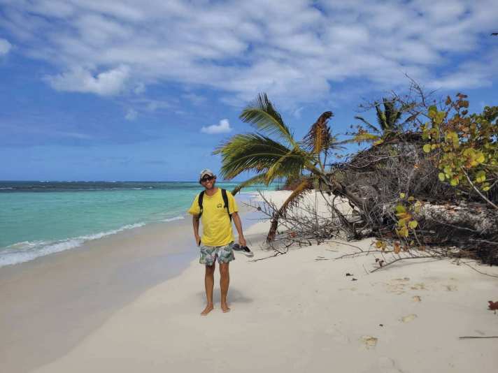 Caraibi allo stato puro: le isole appaiono come in una brochure di viaggio, con palme, spiagge e mari turchesi.