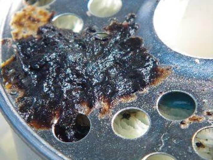   This is what the slime that first clogs filters and then pipes can look like