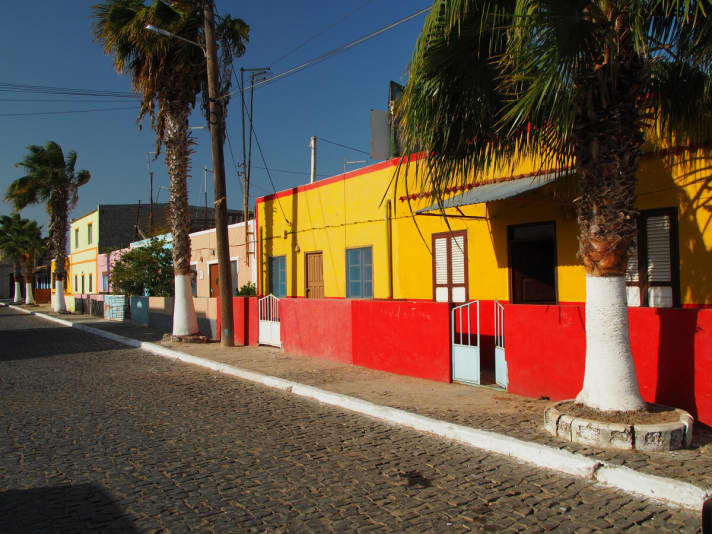   Palmeira