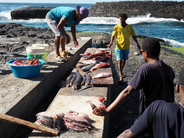   Marché aux poissons en plein air
