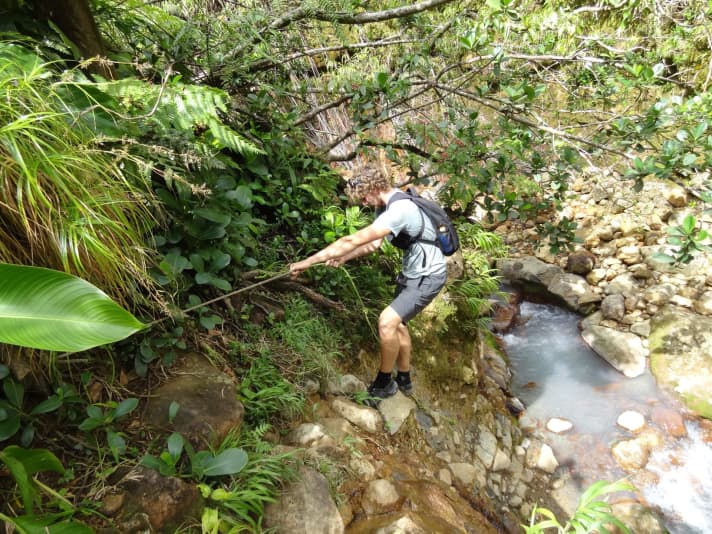   Excursion à terre