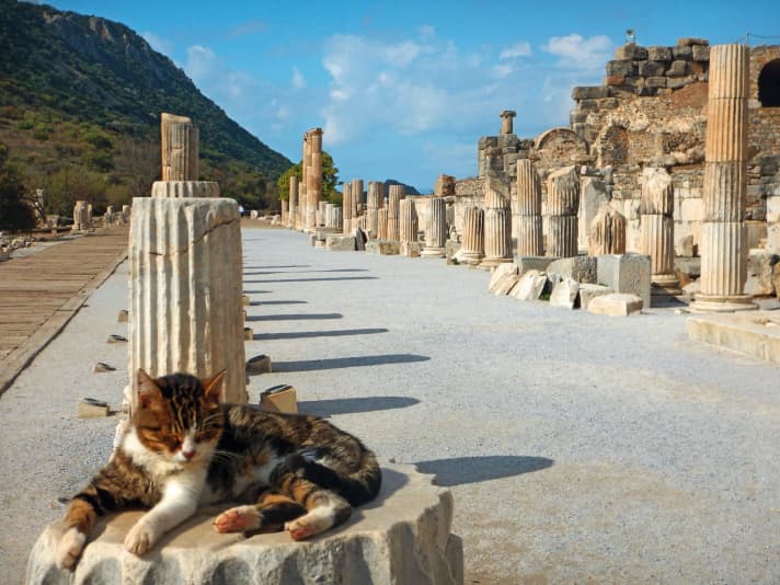   La côte égéenne de la Turquie regorge de témoignages de l'Antiquité, comme ici à Éphèse.