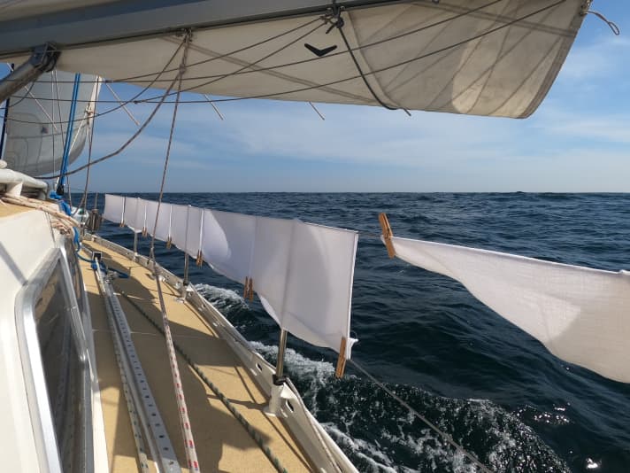   Giornata di lavaggio dei pannolini in mare. Almeno non c'è bisogno di un'asciugatrice.