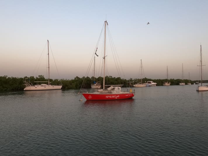   The "Aracanga" at her anchorage in the Gambia River