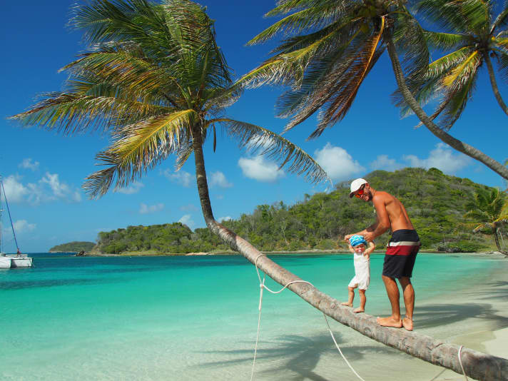   Un palmier au lieu d'une structure d'escalade à Mayreau