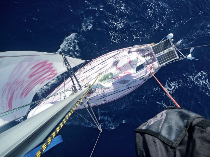 Watson's "Pink Lady" from above