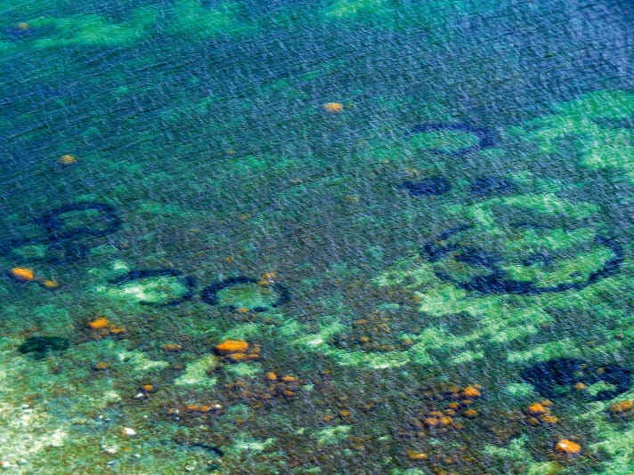 Le alghe circolano al largo di Møn. Per anni non c'è stata altra spiegazione che: Stregoneria!