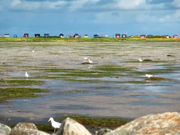 Les maisons de bain colorées se trouvent à environ cinq minutes à pied du port de plaisance. C'est dans la lumière du matin qu'elles sont les plus belles