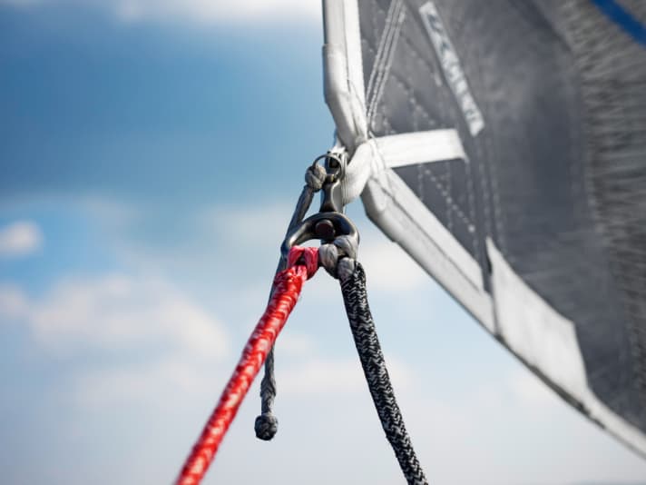 With swivelling snap shackle