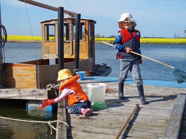 Children harbour