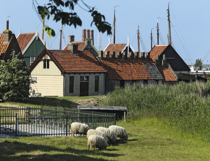 Lelystad: Klassisches Holland eben. Nicht vom Namen „Hoekipa Dijk“ täuschen lassen.
