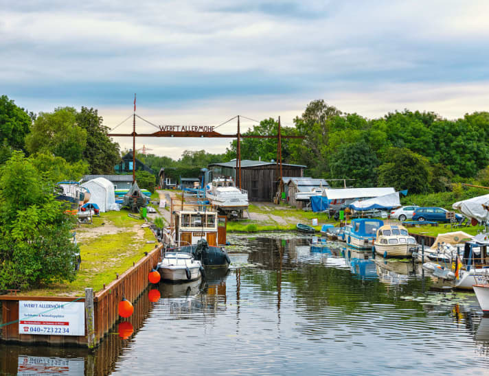   Wassersportrevier in Gefahr: Hamburgs Dove-Elbe