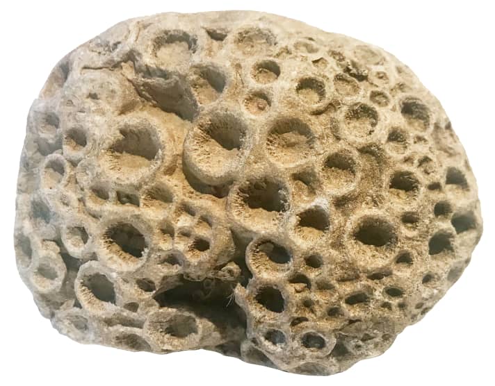 boot/nimg-1454_15cac2ba6dd66c3d2cdd0e45caf50cee