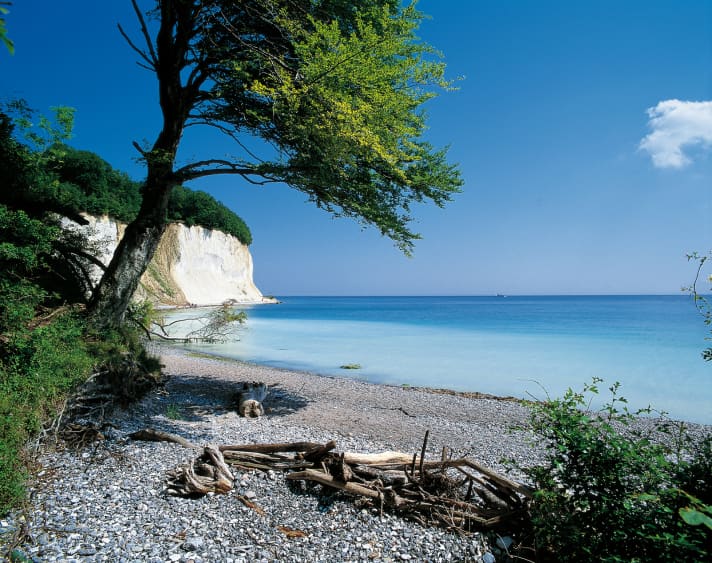   Rügen's Stubbenkammer in the Jasmund National Park area.