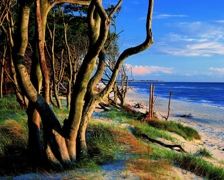   Weststrand Darßer Ort