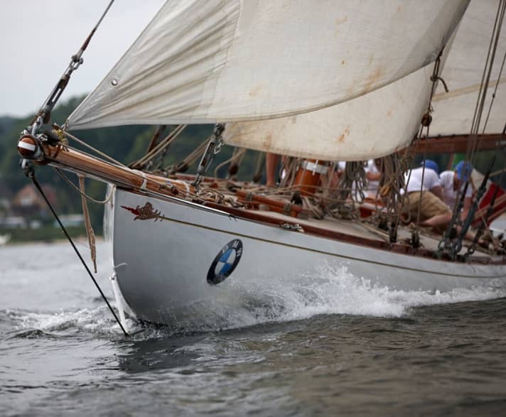   Dodici "Cintra" - rappresentante della primissima generazione