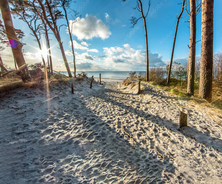 yacht/timmendorf-poel-lowres-22-adobestock-193774229-preview_172236760fa01fcf6a89d42e58e6932a