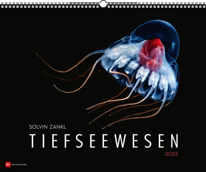 surf/tiefseecover_934cd989fca1bc60f08b6a63a5c23078