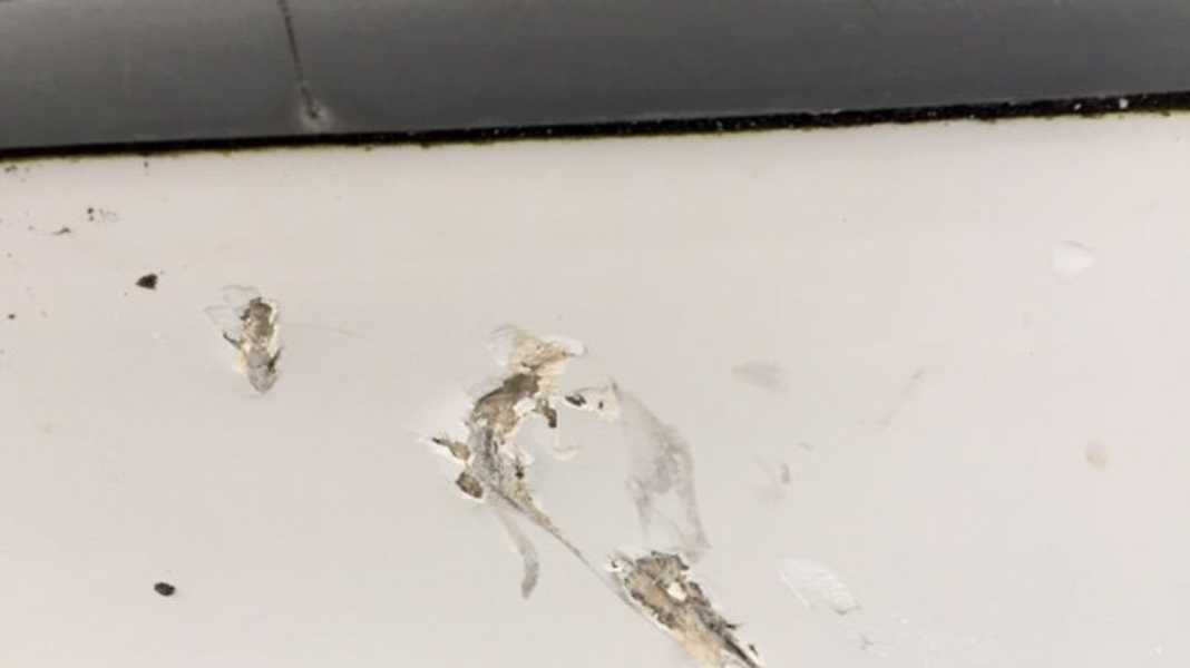 Charter special: The right insurance for your boating holiday