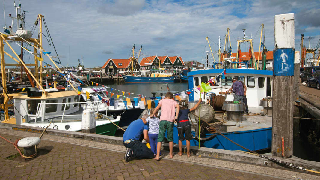 Revier: Texel / Niederlande - Fundsache